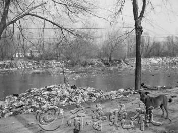 ɽ��Ҽ��ׯ����������Χ���������ΰ��ȥ��ͼ��