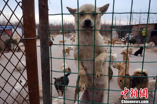 ֣�ݲ�Υ����Ȯ������Ȯ����������վ����