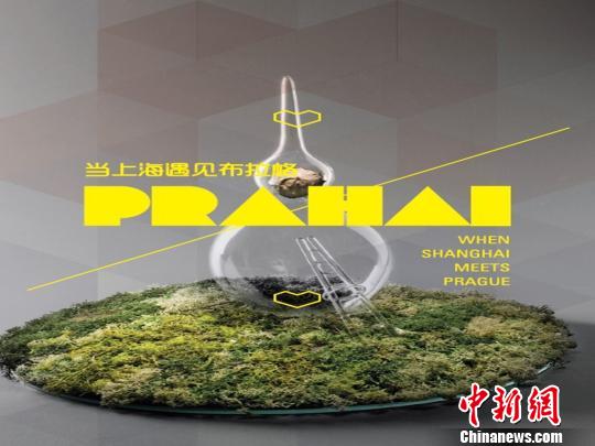 �ݿ�����������Ʒ�����Ϻ����������