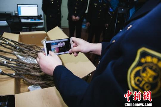 Ϻ1700Ƿ뾳걾